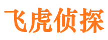 泌阳市私家侦探